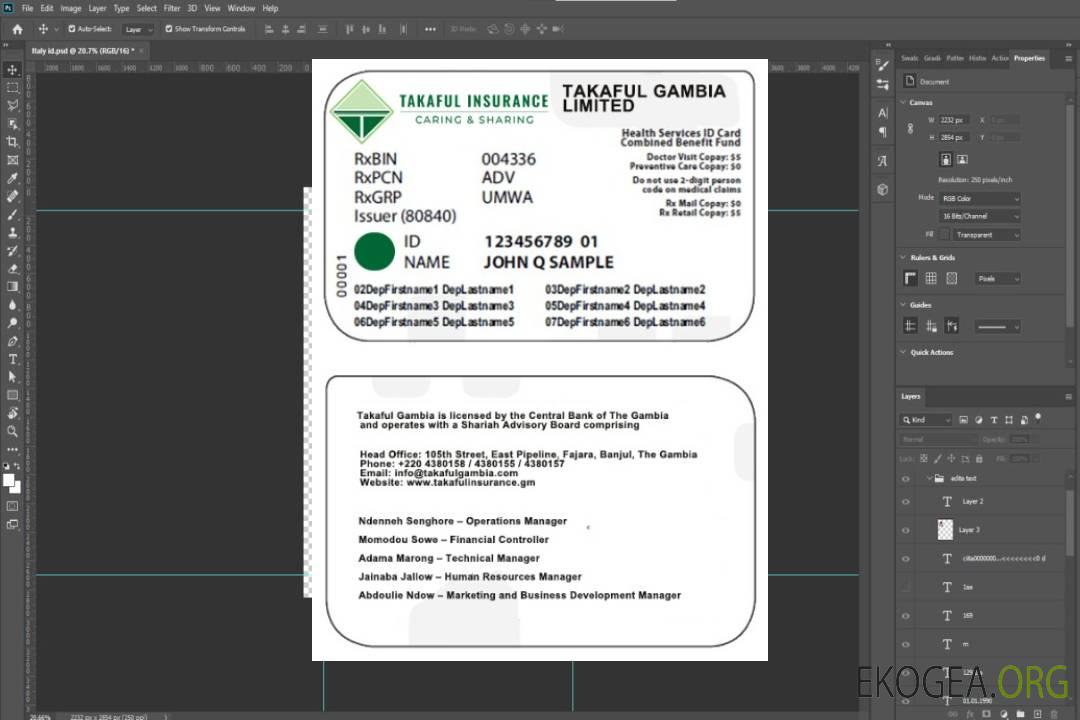 Carte d'assurance maladie de la Gambie template